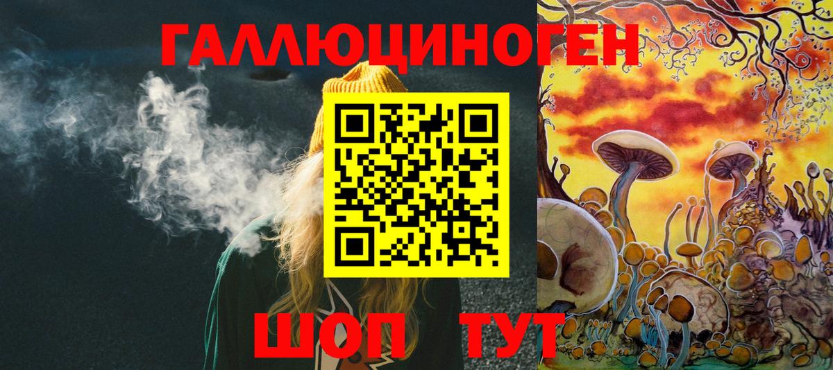 Псилоцибиновые грибы Psilocybine cubensis Куйбышев