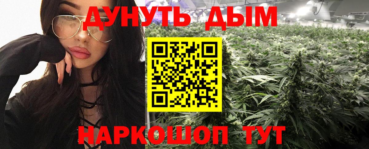 Каннабис планчик  Бошки Шишки тримм  МАРИХУАНА сатива  Куйбышев  Вход с VPN 